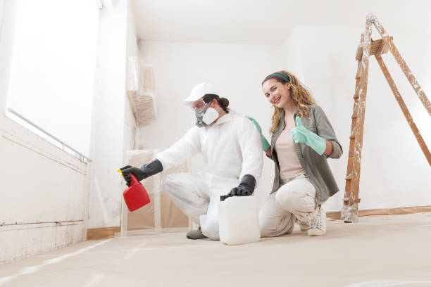 Mold Remediation for Rental Properties in Tomball, TX