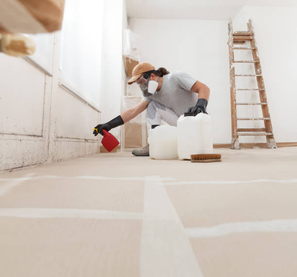 Reliable Tomball, TX Mold Removal Solutions